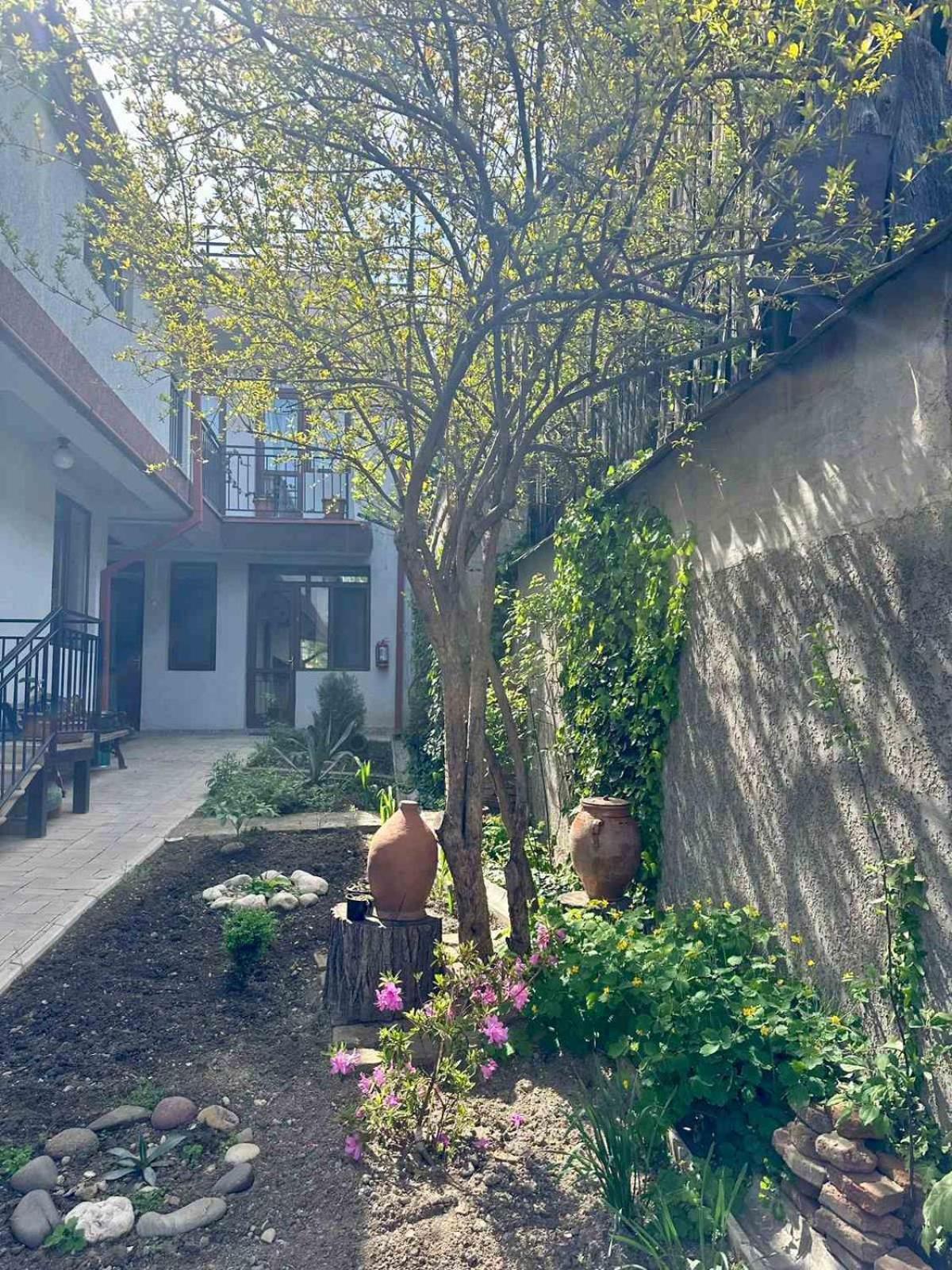 Hotel Tradicia Tbilisi Zewnętrze zdjęcie